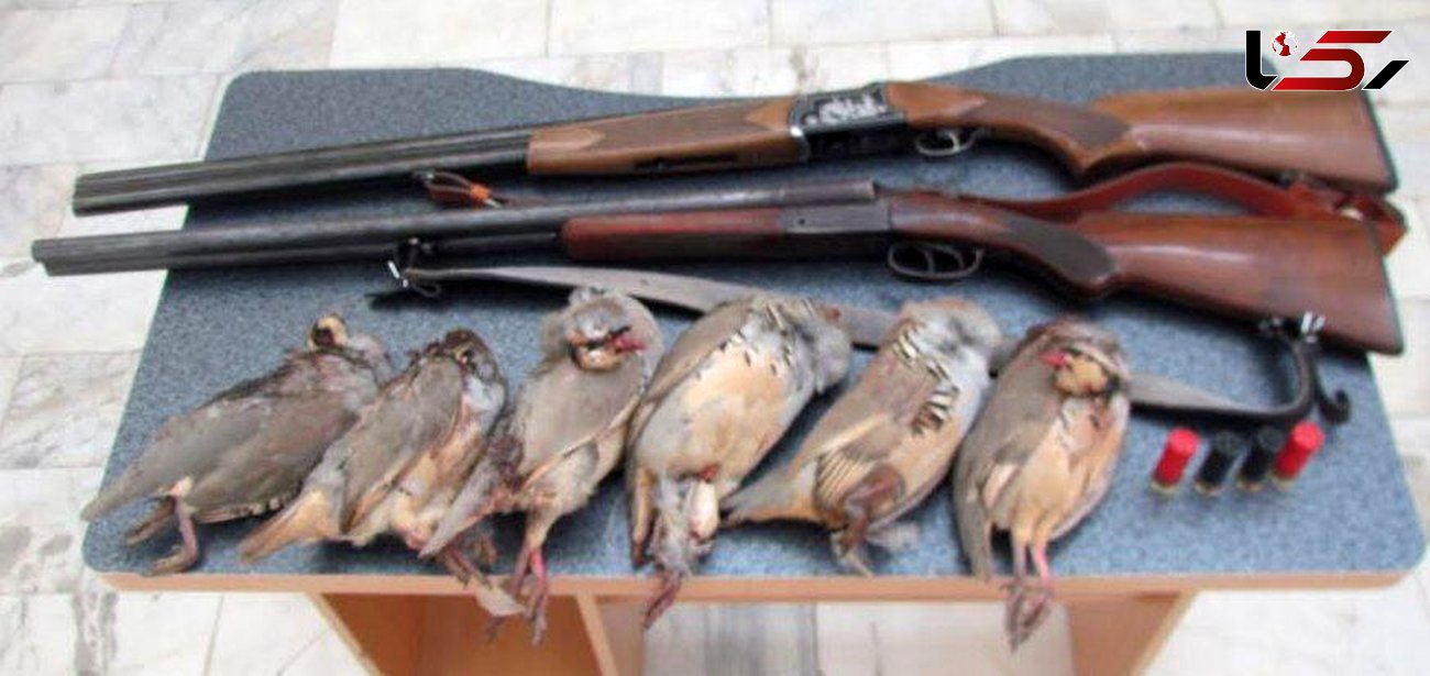 دستگیری 3 شکارچی خلافکار در دامغان