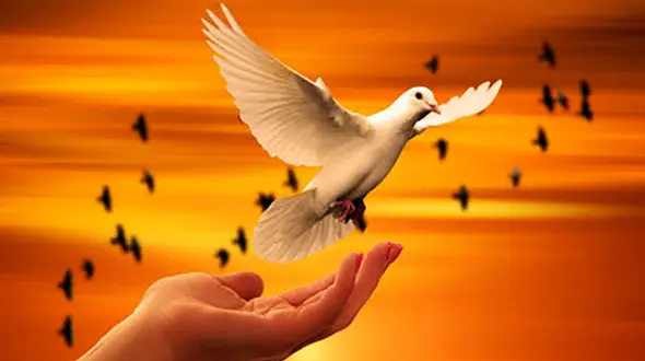 بخشش 2 اعدامی در تهران به حرمت عید مبعث