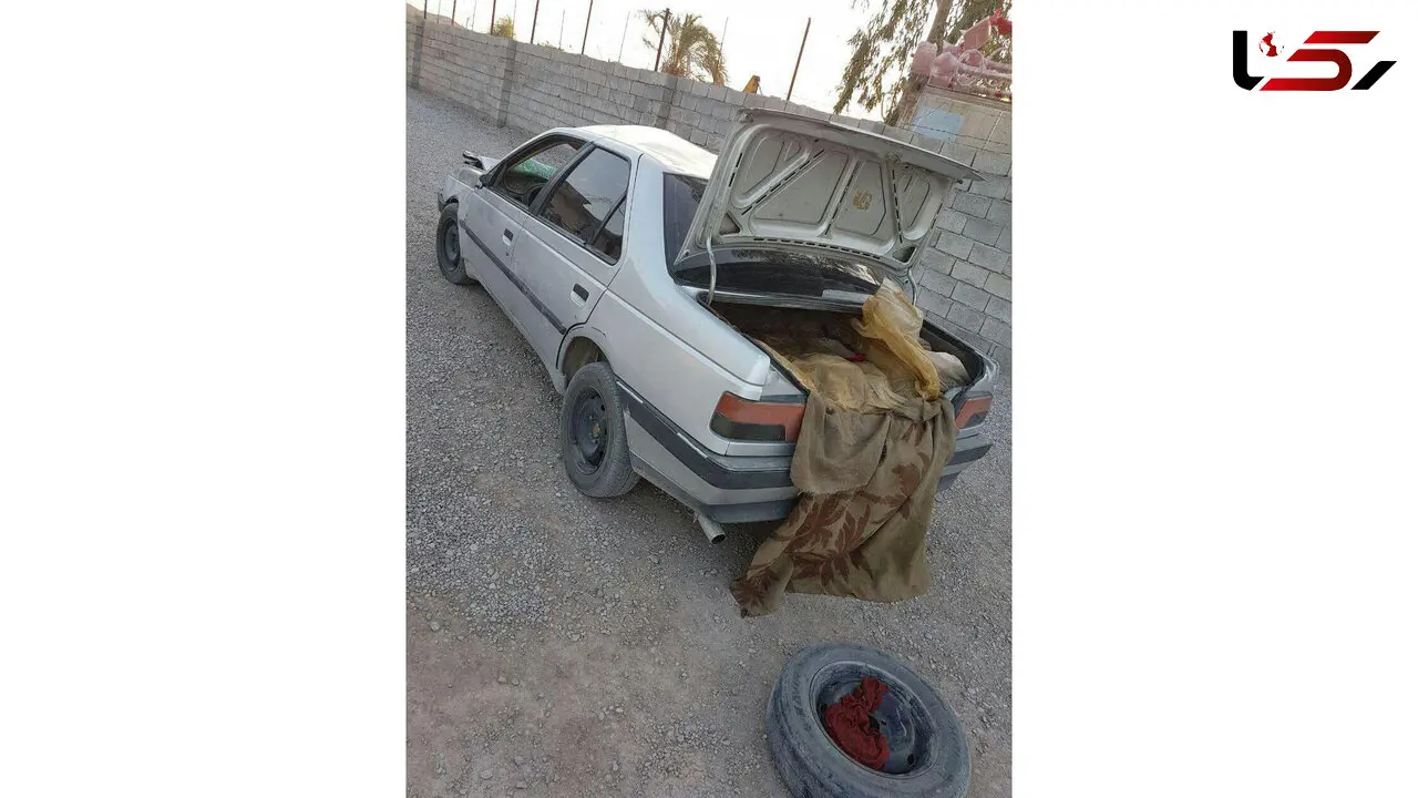 دستگیری عامل زیرگرفتن مرگبار 7 عضو خانواده ایرانشهری+عکس