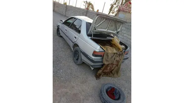 دستگیری عامل زیرگرفتن مرگبار 7 عضو خانواده ایرانشهری+عکس