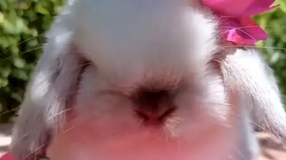 زیبایی ببینیم