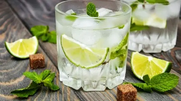 نوشیدنی های گوارا برای خنک شدن در هوای گرم+دستور تهیه