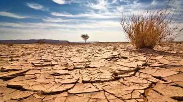 ۹۵ درصد مساحت کشور درگیر خشکسالی/وضعیت نگران کننده ۱۶ استان کشور در حوزه خشکسالی