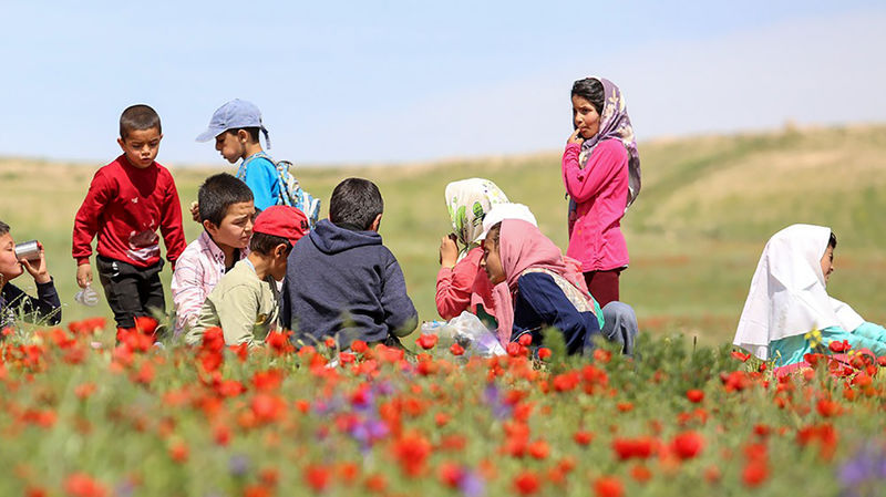 اردوی دانش آموزان در طبیعت