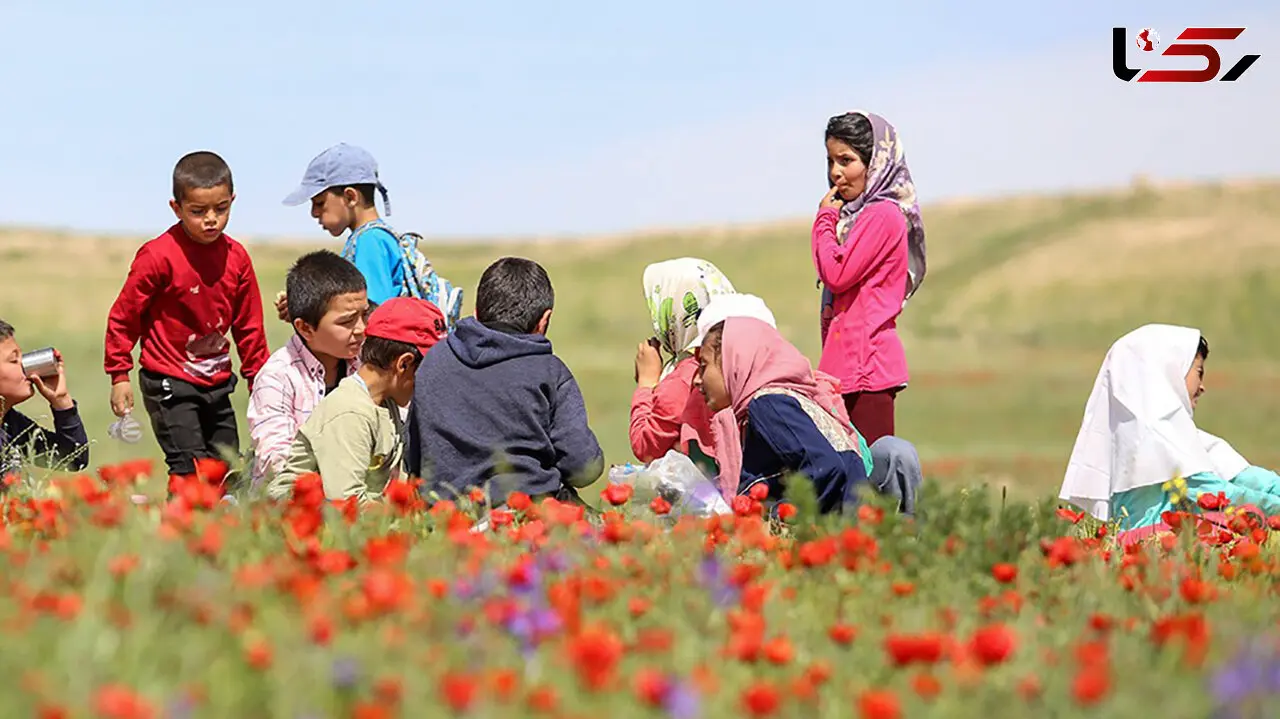 دانش‌آموزان در اردوهای طبیعت‌محور، قهرمانان آینده حفاظت از زمین می‌شوند! + فیلم