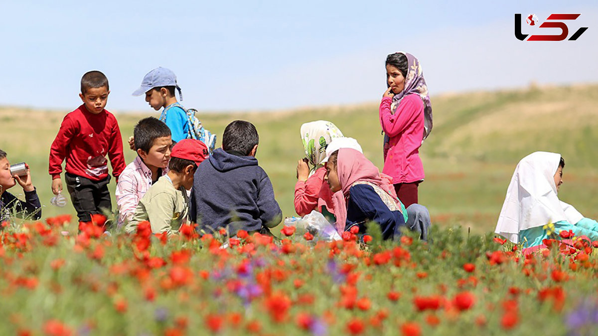 دانش‌آموزان در اردوهای طبیعت‌محور، قهرمانان آینده حفاظت از زمین می‌شوند! + فیلم