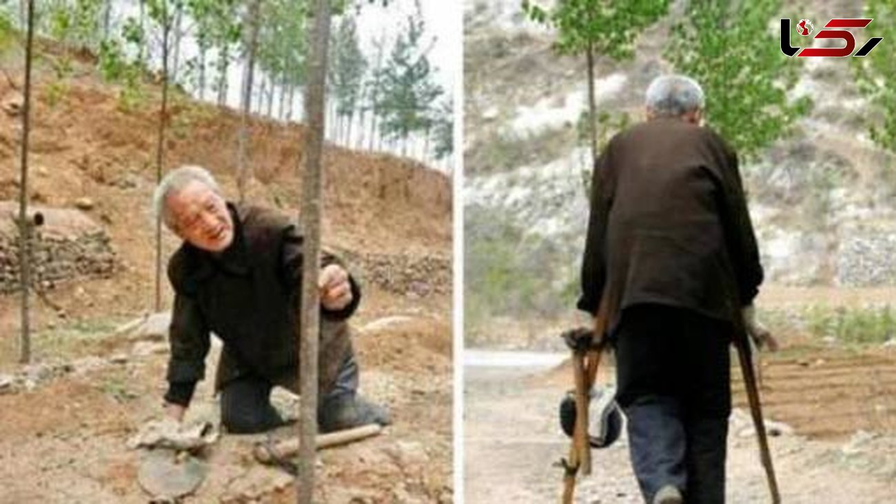 مرد معلول بیابان را به جنگل تبدیل کرد + عکس