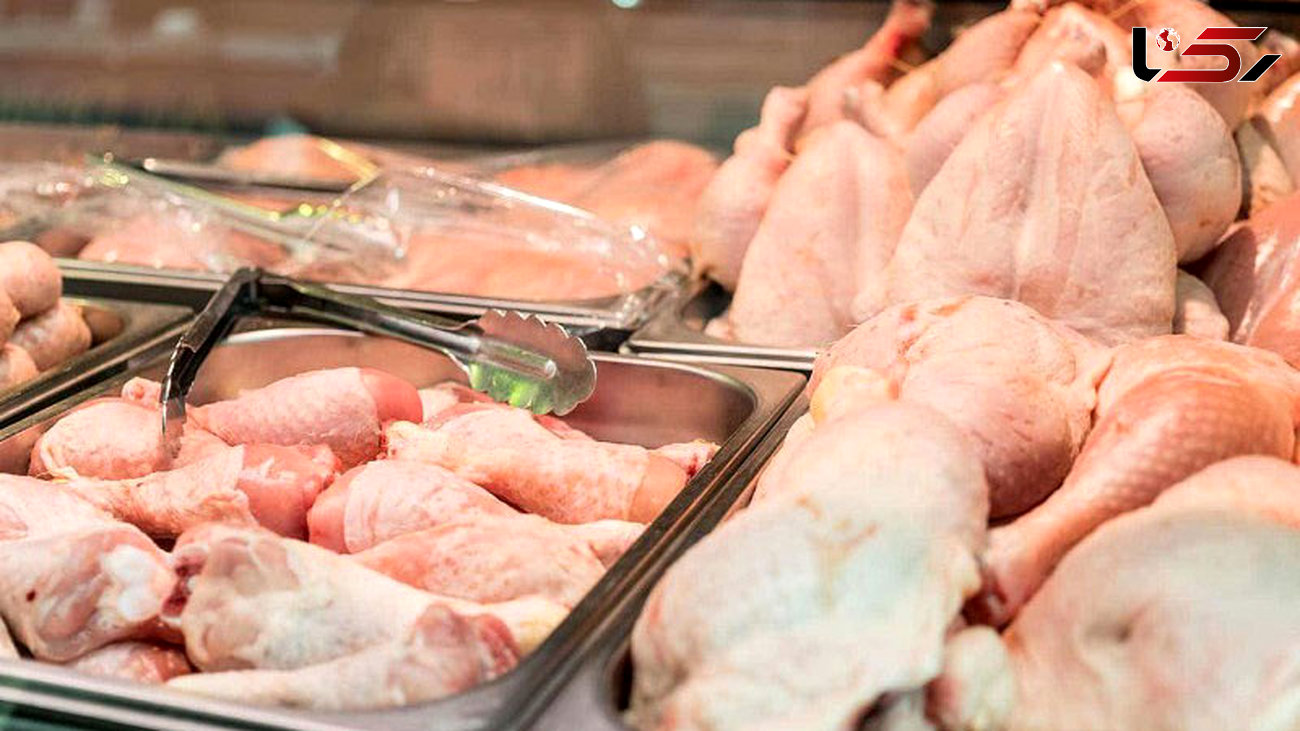 آخرین تحولات بازار مرغ/ نیازی به واردات مرغ برای تنظیم بازار نداریم