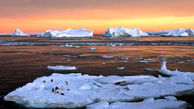 پیدایش 2 جزیره ناشناخته در قطب جنوب + عکس