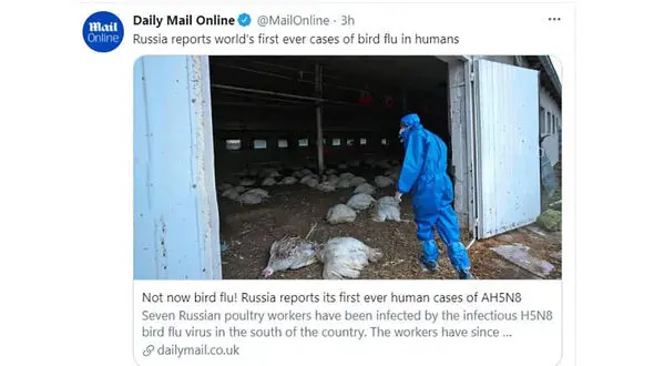 اولین مورد ابتلای انسانی به آنفولانزای مرغی
