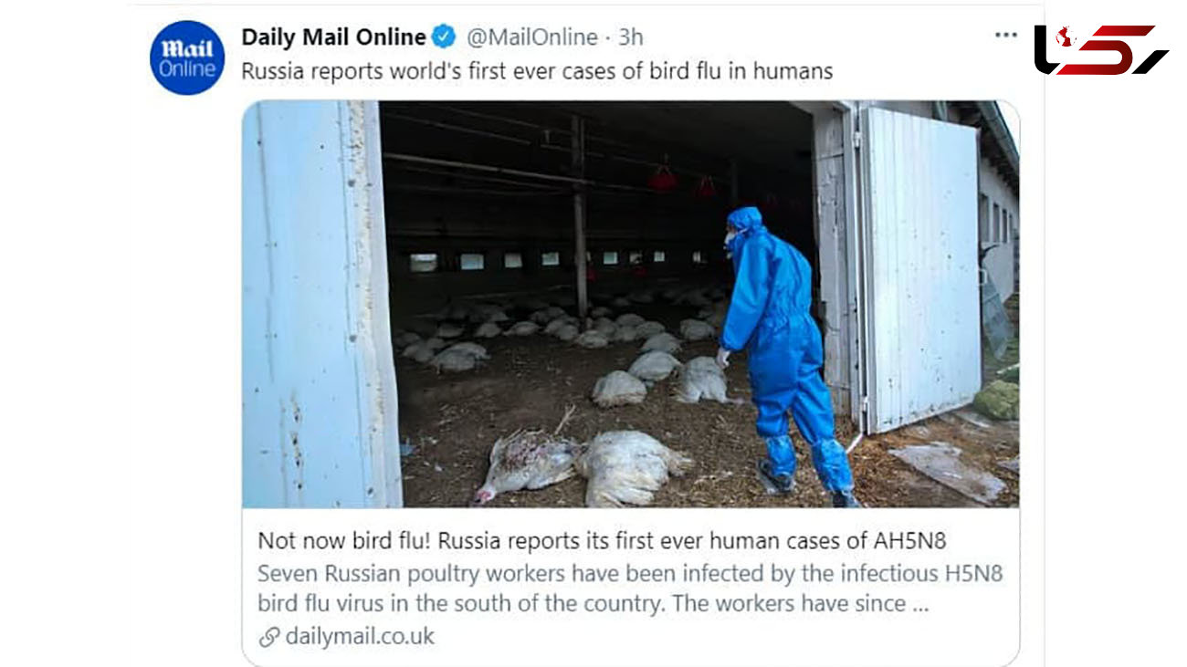 اولین مورد ابتلای انسانی به آنفولانزای مرغی