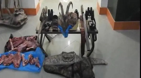 باند حرفه‌ای ۱۰ نفره شکار غیرمجاز در اردستان دستگیر شدند 