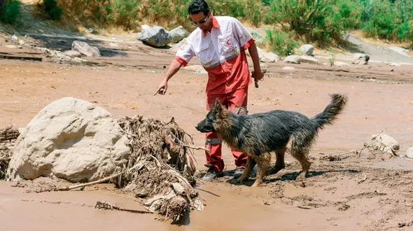 سیل در علی آباد کتول ۳ کشته برجای گذاشت