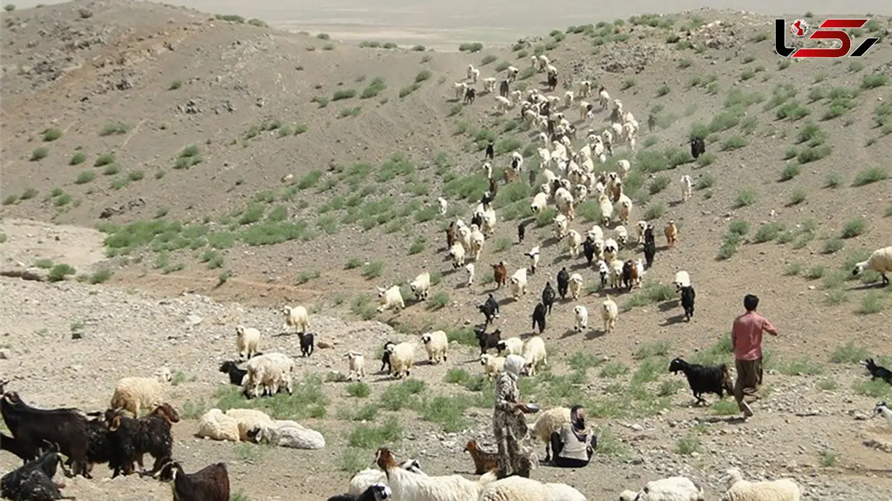 نوید روز های خوش برای عشایر دزفول/ انجام یک اقدام حیاتی در زمان رئیس جمهور شهید