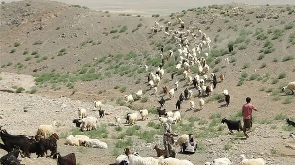 نصب و راه‌اندازی سامانه‌های خورشیدی در ییلاقات عشایری تهران