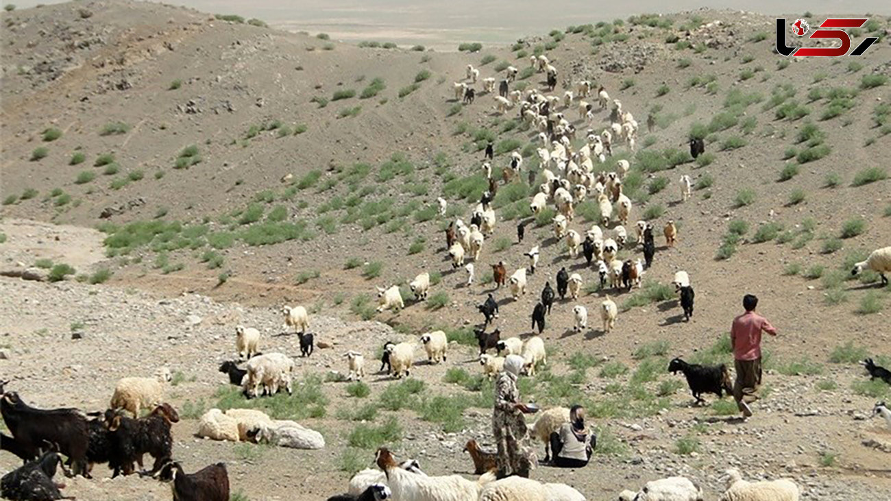 ماجرای شلیک به سمت عشایر در شهرستان کوار استان فارس