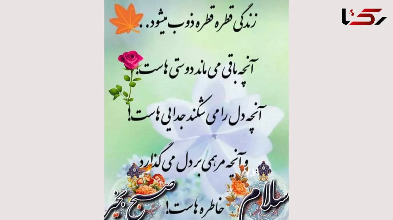 فال روزانه شخصی/ 30 شهریور ماه + فیلم