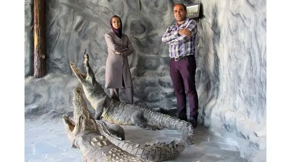 زندگی زن و شوهر ایرانی در کنار کروکودیل‌ها +عکس 