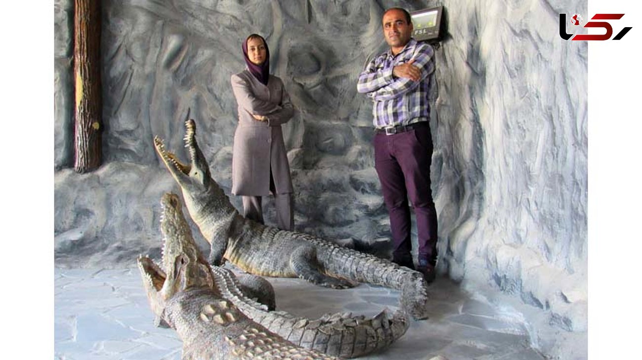 زندگی زن و شوهر ایرانی در کنار کروکودیل‌ها +عکس 