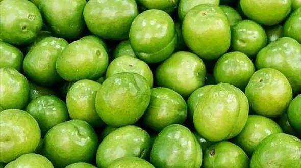 گوجه‌ سبز برای چه افرادی ممنوع است؟