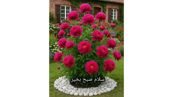 تفسیر فال حافظ 12 آذر همراه با دوبیتی غزل حافظ