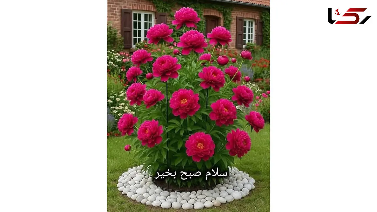 تفسیر فال حافظ 12 آذر همراه با دوبیتی غزل حافظ