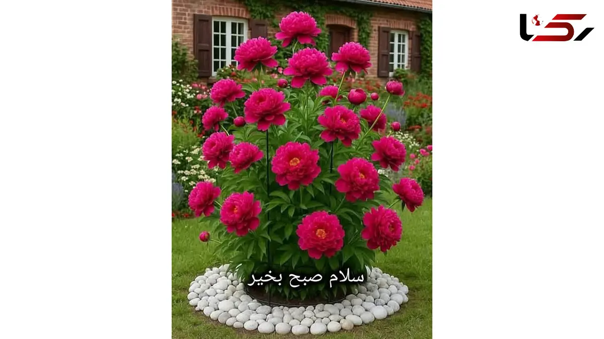 تفسیر فال حافظ 12 آذر همراه با دوبیتی غزل حافظ