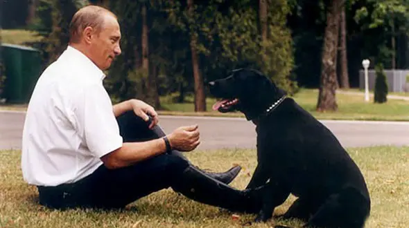 بهترین بادیگارد پوتین+تصاویر