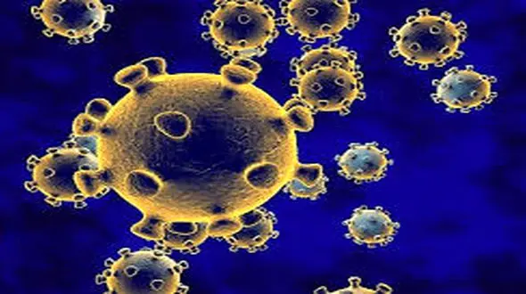 زنجیره کرونا در ایران با واکسیناسیون چند نفر قطع می‌شود؟