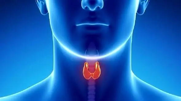 بیماری تیروئیدی را با این نشانه ها بشناسید