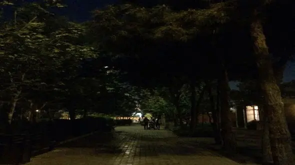 ماجرای خاموشی بوستان‌های پایتخت چه بود؟