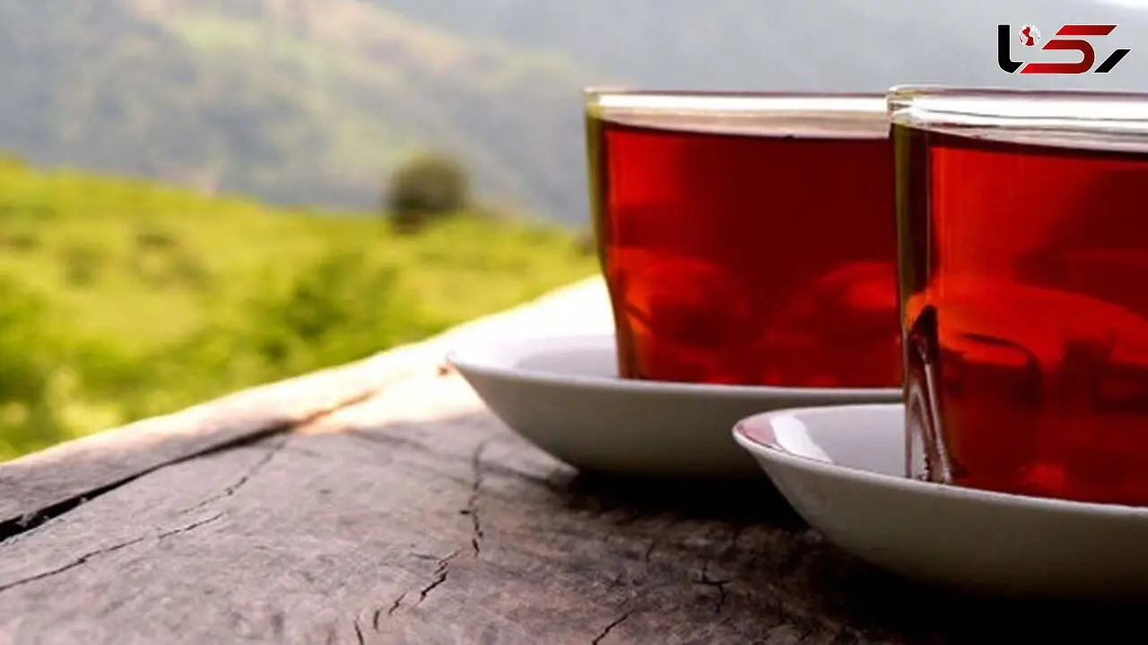 چای هم در دولت رئیسی لاکچری شد