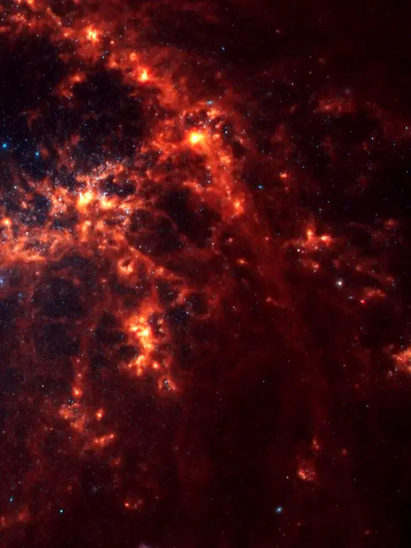 photo_2025-11-15_19-11-41 (2)