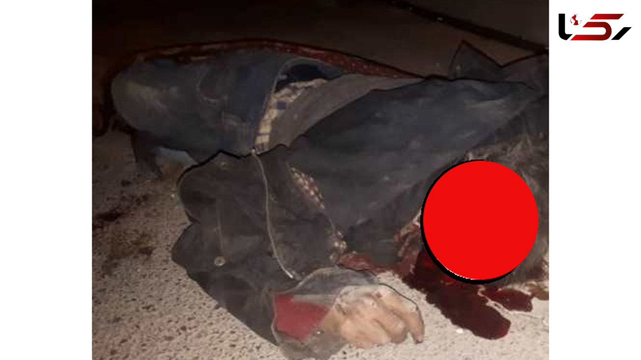 عکس جنازه مرد تهرانی / راننده فراری با عذاب وجدان بازگشت 