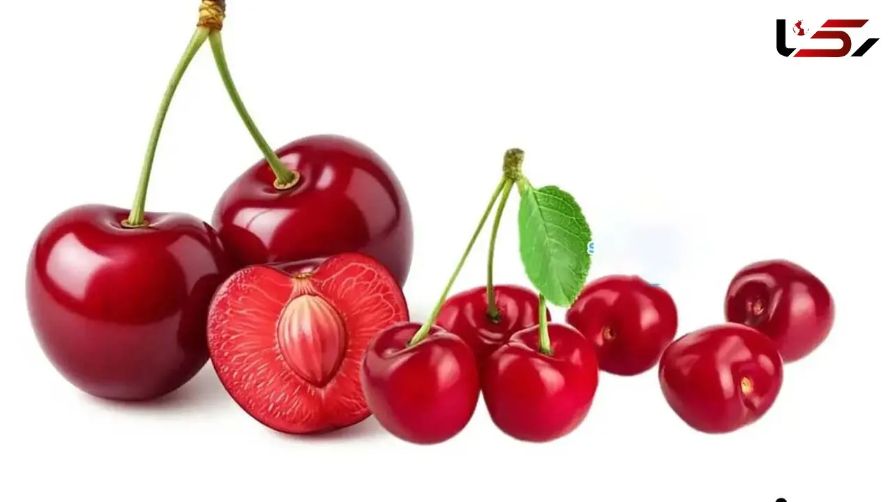 مسکن میوه ها را بشناسید!