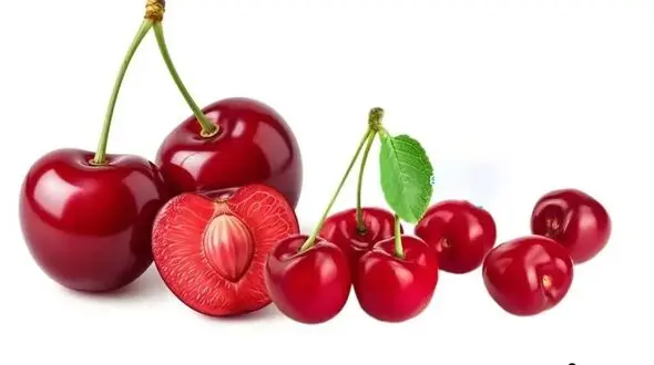 مسکن میوه ها را بشناسید!