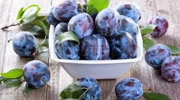 میوه های بنفش رنگی که باید بخورید!