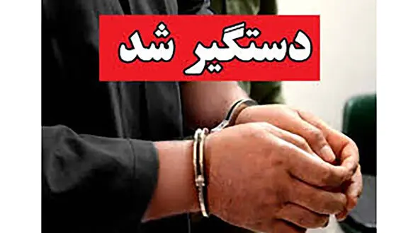بازداشت عامل تخریب خودروهای جنوب تهران / انگیزه چه بود؟