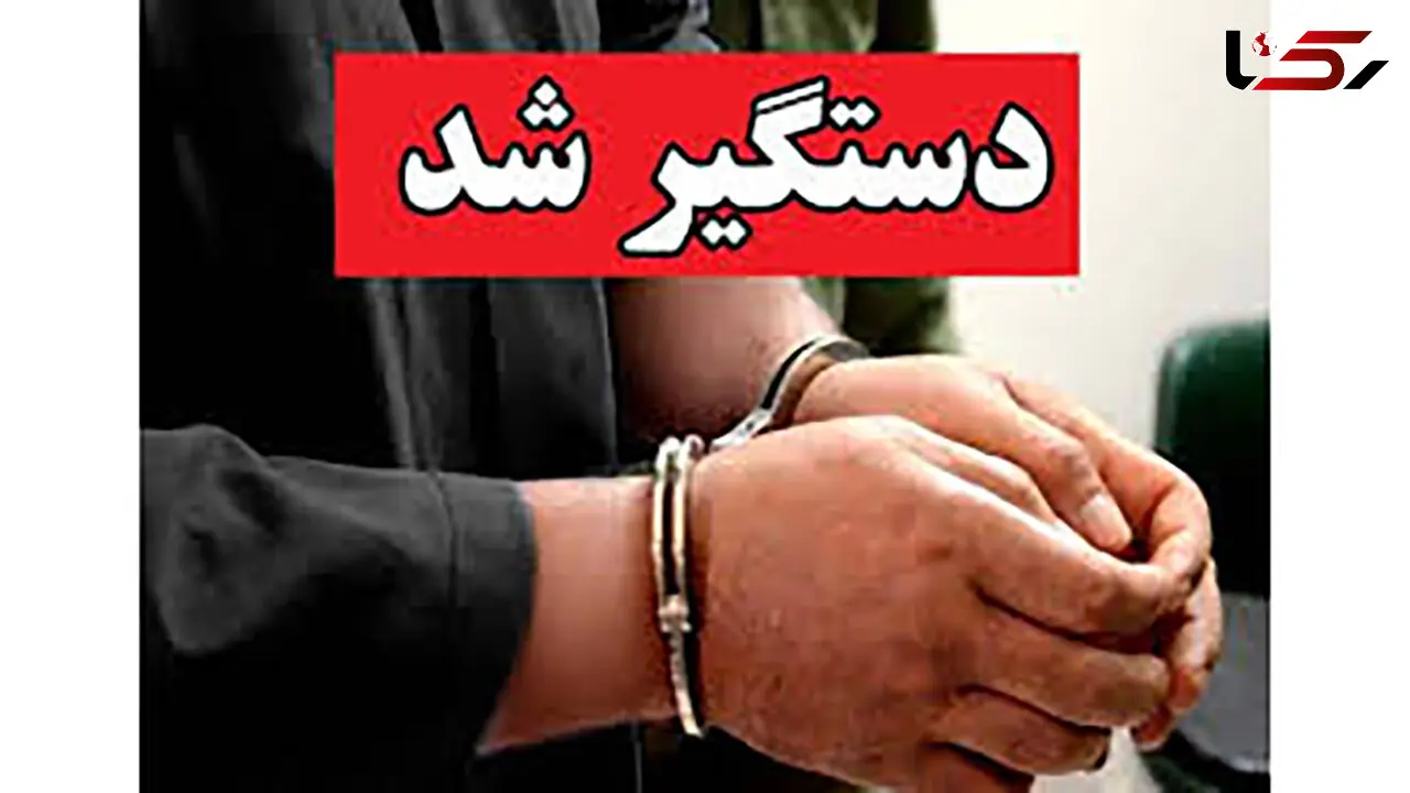 بازداشت عامل تخریب خودروهای جنوب تهران / انگیزه چه بود؟