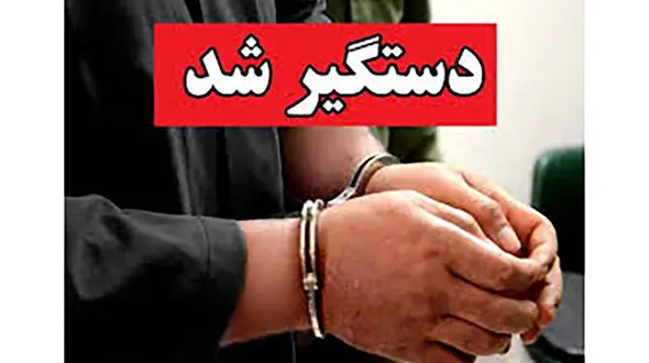 بازداشت عامل تخریب خودروهای جنوب تهران / انگیزه چه بود؟