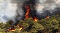 آیا آتش سوزی جنگل ها با خشکسالی امسال ارتباط دارد؟