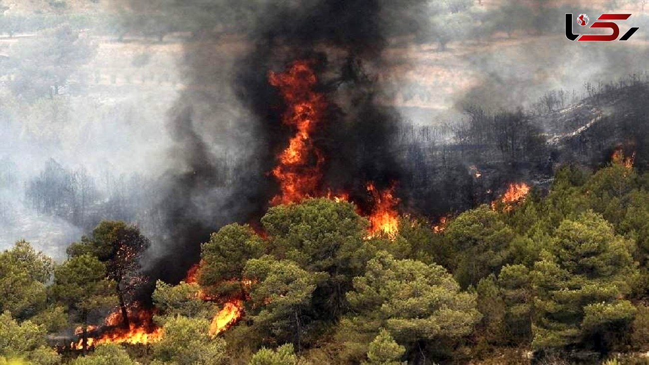 آیا آتش سوزی جنگل ها با خشکسالی امسال ارتباط دارد؟