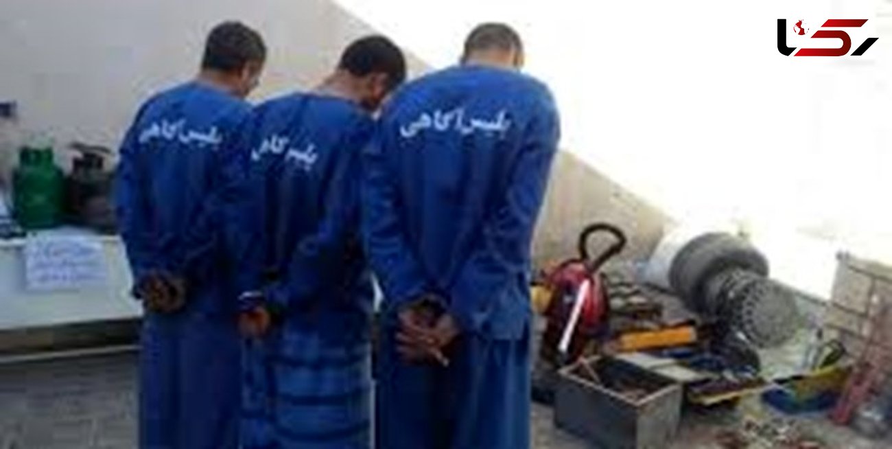 کلاهبرداران 200 میلیاردی در کرمان شکار قانون شدند / 3 متهم دستگیر شدند