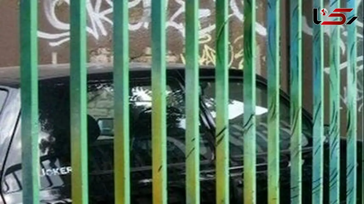 خلاقیت مشاغل:ابتکار منحصربفرد و بامزه هنرمندی که نرده ها را به یک شاهکار خلاقانه هنری تبدیل کرده است + عکس/چقدر رویایی و خاص!