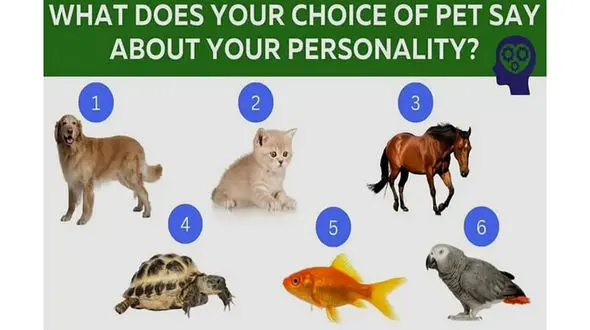 تست شخصیت شناسی / با انتخاب حیوان مورد علاقه ات بدان که افسرده ای یا شاد؟