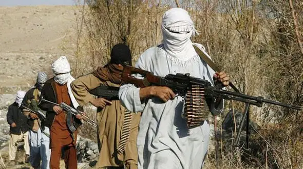 ملامحمود به هلاکت رسید +عکس