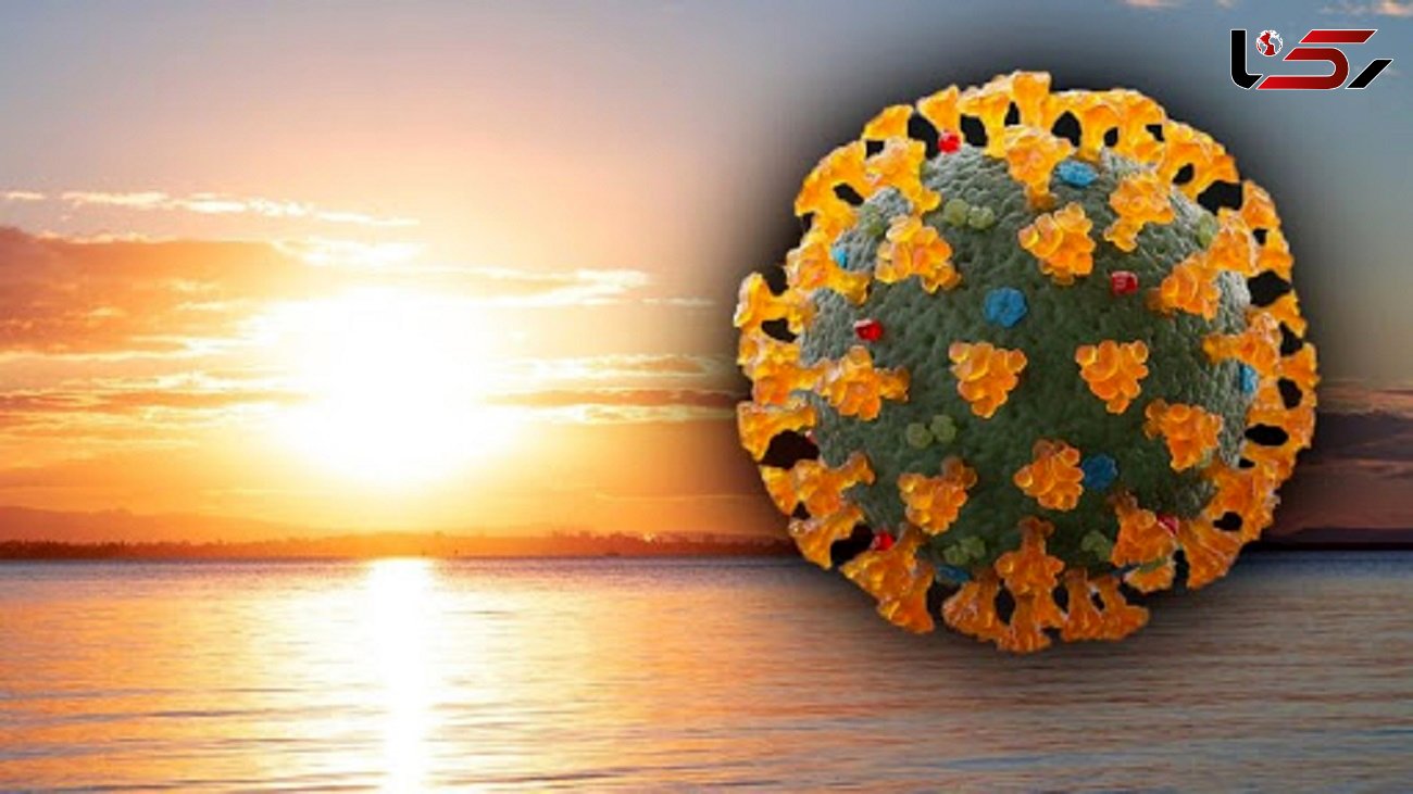 چه بیماری هایی در تابستان شایع می شود؟ / باکتری ها و ویروس های گرمادوست را بشناسید 