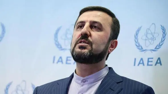 
عدم مصالحه درباره امنیت تاسیسات هسته‌ای ایران/ توضیحات درباره ممانعت از ورود بازرس آژانس به تأسیسات نطنز
