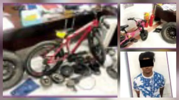 پلیس الهیه ضربه‌ای مهلک به باند سرقت زد / از گشت‌های شبانه تا دستگیری سه متهم