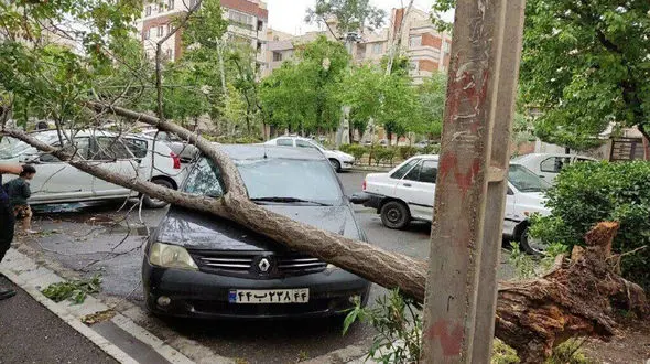 هواشناسی: وزش باد شدید در تهران تا آخر هفته ادامه دارد + جزییات هواشناسی پایتخت